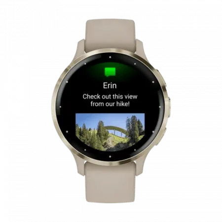 Смарт-годинник Garmin Venu 3S Soft Gold Stainless Steel Bezel з French Gray сірим корпусом та силіконовим ремінцем
