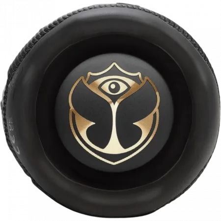 Акустика JBL Flip 7 (Tomorrowland Edition)