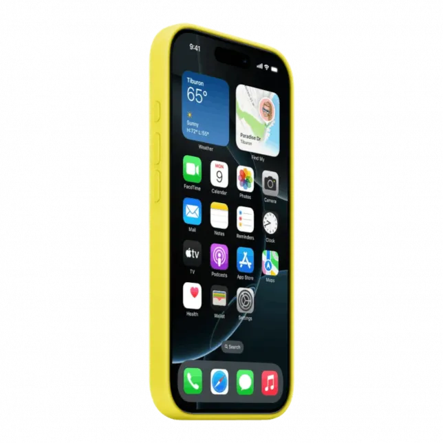 Чохол Apple Silicone Case with Magsafe для iPhone 16 Pro Max (Star Fruit)