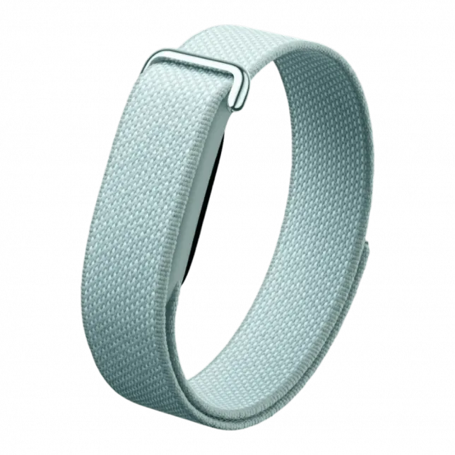 Фітнес-браслет Google Fitbit Air (Fog)