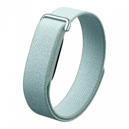 Фітнес-браслет Google Fitbit Air (Fog)