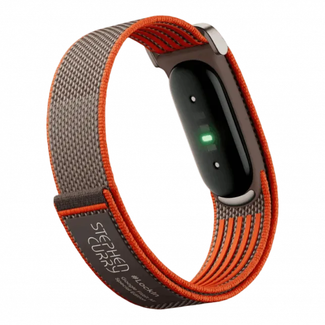 Фітнес-браслет Google Fitbit Air (Rye)