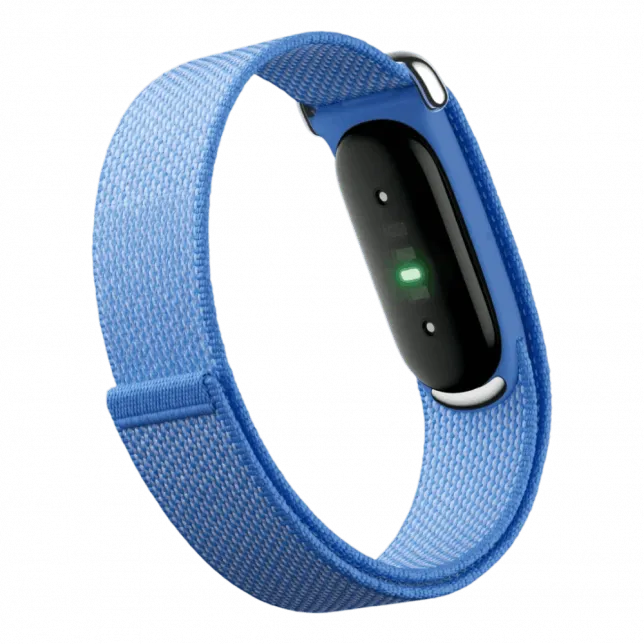 Фітнес-браслет Google Fitbit Air (Lavender)