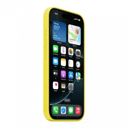 Чохол Apple Silicone Case with Magsafe для iPhone 16 Pro Max (Star Fruit)
