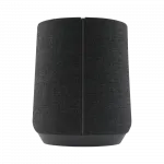 Акустика Harman/Kardon Citation 300 Black