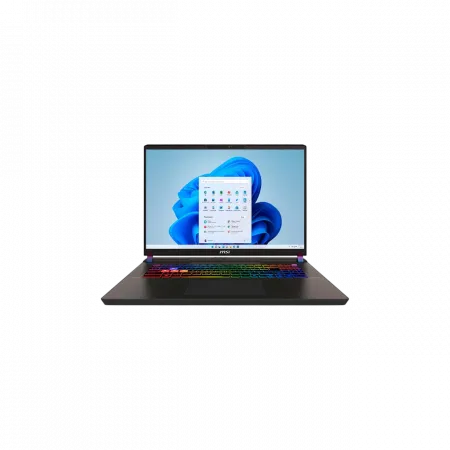 Ноутбук MSI Vector 17 HX AI A2XWIG-043UA 17" QHD+, Intel U9-275HX, 32GB, F1TB, NVD5080-16, W11, чорний