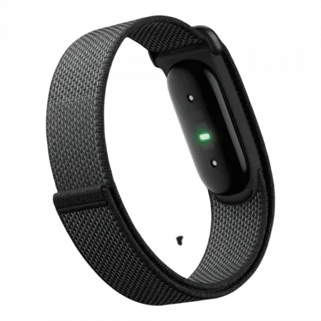 Фітнес-браслет Google Fitbit Air (Obsidian)
