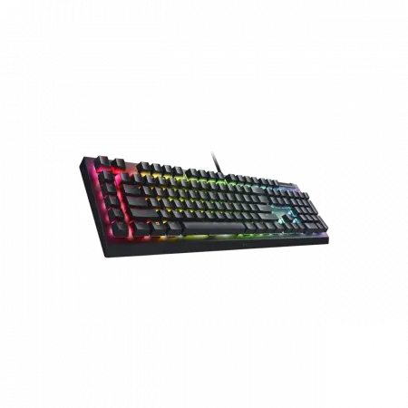 Клавіатура механічна Razer BlackWidow V4 X 110key, Green Switch, USB-A, EN/RU, RGB, чорний