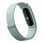 Фітнес-браслет Google Fitbit Air (Fog)