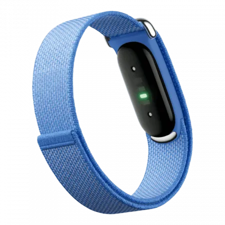 Фітнес-браслет Google Fitbit Air (Lavender)