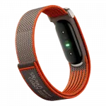 Фітнес-браслет Google Fitbit Air (Rye)