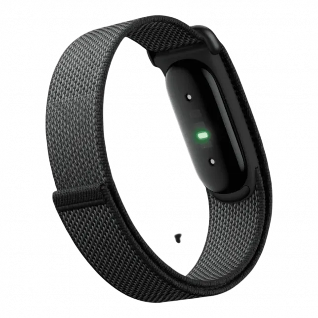 Фітнес-браслет Google Fitbit Air (Obsidian)