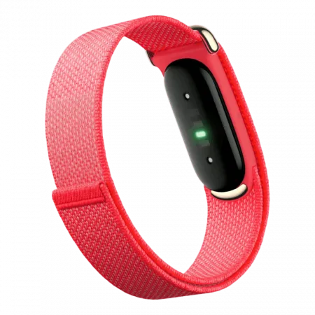 Фітнес-браслет Google Fitbit Air (Berry)