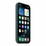 Чохол Apple Silicone Case with Magsafe для iPhone 16 Pro Max (Lake Green)
