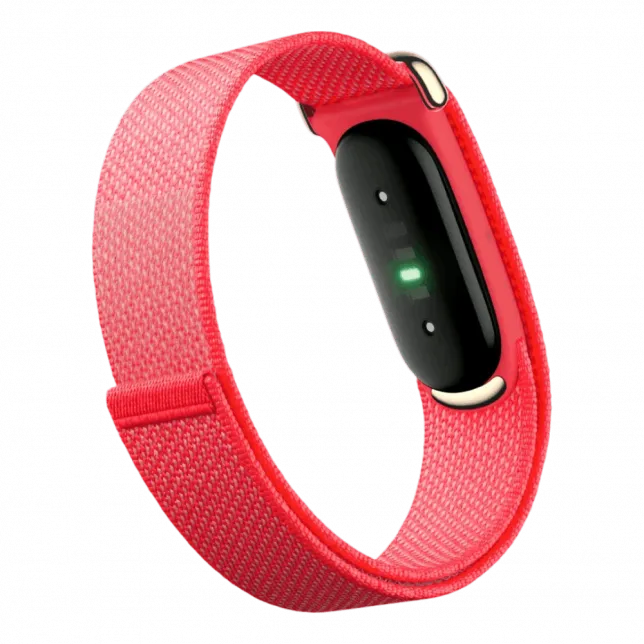 Фітнес-браслет Google Fitbit Air (Berry)