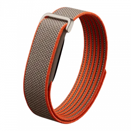 Фітнес-браслет Google Fitbit Air (Rye)