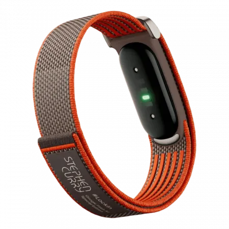 Фітнес-браслет Google Fitbit Air (Rye)