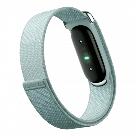 Фітнес-браслет Google Fitbit Air (Fog)