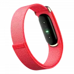 Фітнес-браслет Google Fitbit Air (Berry)