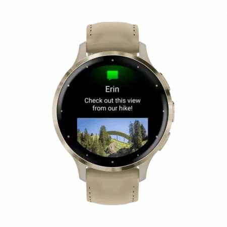 Смарт-годинник Garmin Venu 3S Soft Gold Stainless Steel Bezel з French Gray сірим корпусом та шкіряним ремінцем